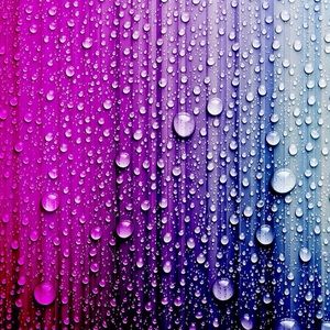 Meet your Posher, Cici